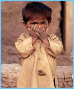 Afghan refugee